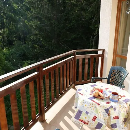 Apartment, Park * Boroveț