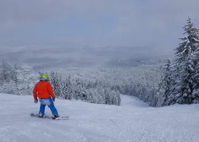 Apartament Apartment, Park Borowec