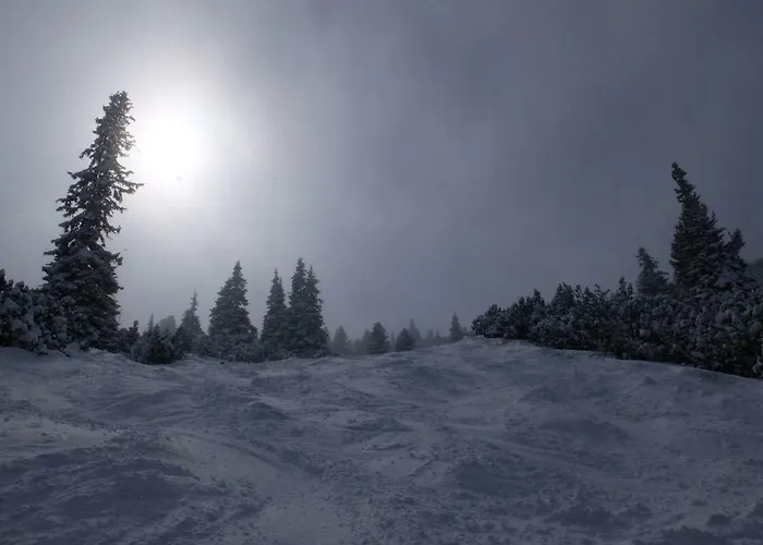 Apartament Apartment, Park