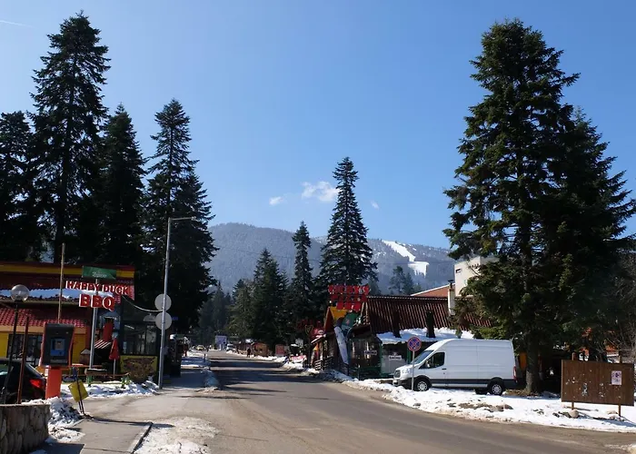 Apartament Apartment, Park Borowec